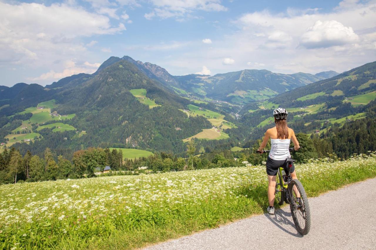 Stocker'S Wohlfuehlapartments Reith im Alpbachtal Dış mekan fotoğraf