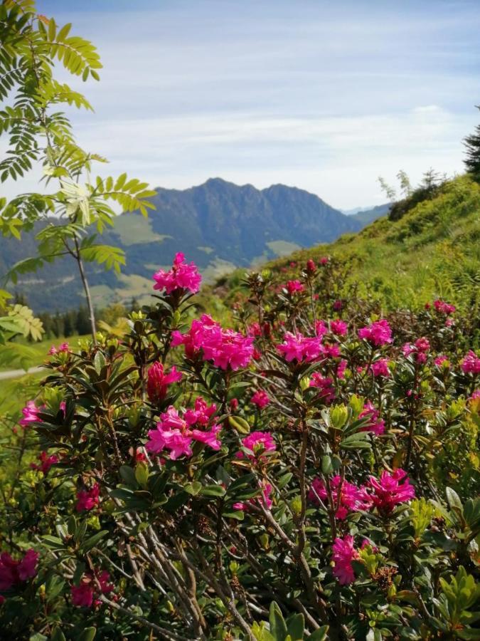 Stocker'S Wohlfuehlapartments Reith im Alpbachtal Dış mekan fotoğraf